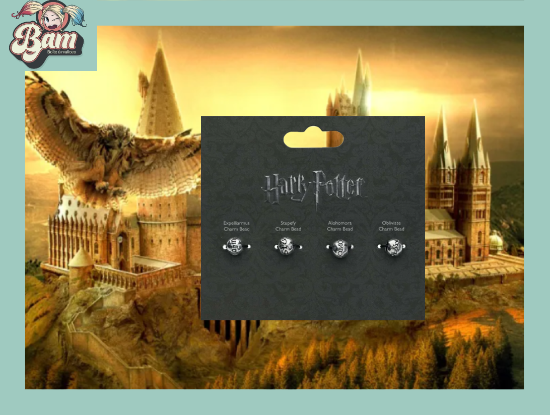 Lot 4 sacs à cadeaux Harry Potter