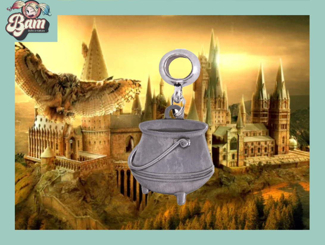Harry Potter - Pendentif et collier plaqués argent Hogwarts
