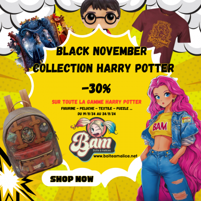 Promotion boutiqueharry potter boite a malices